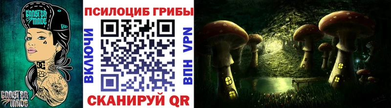 Галлюциногенные грибы Psilocybe Сортавала