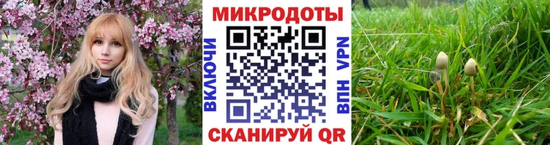 Галлюциногенные грибы GOLDEN TEACHER  закладка  ссылка на мегу как войти  Сортавала 